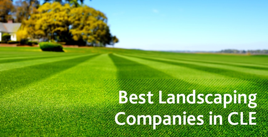 Schill_bestlandscaper.jpg