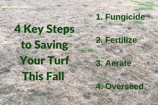 Drought stress can make your grass more susceptible to disease and insect pressure.