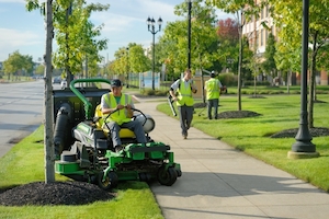 Bid Smart: Demand A Rigorous RFP Process For Landscape Maintenance Services