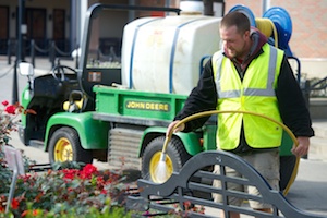Integrated Pest Management: A Sustainable Way To Fight Landscape Disease