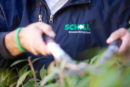 Schill landscaper using shears to prune plants