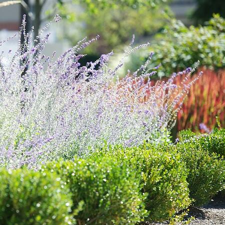 Plan Ahead: Why Now Is The Time To Schedule Landscape Maintenance & Projects