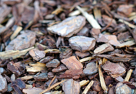 some types of mulch break down and nourish the soil some types of mulch break down and nourish the soil