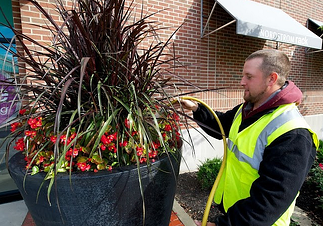 landscaping with ornamental grasses includes large planters