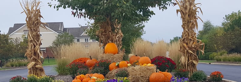 Beginning in the fall, Schill Grounds Management transforms the landscape St. Mary of the Woods into a harvest-themed environment.