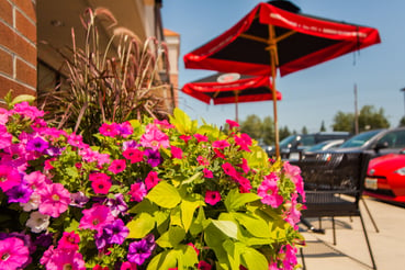 Schill commercial landscaping, flower pots in front of retail property 