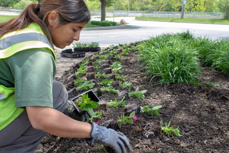 Landscaper maintaining flower bed at a multi-family property