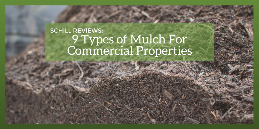 We Review 9 Types Of Mulch For Commercial Landscapes