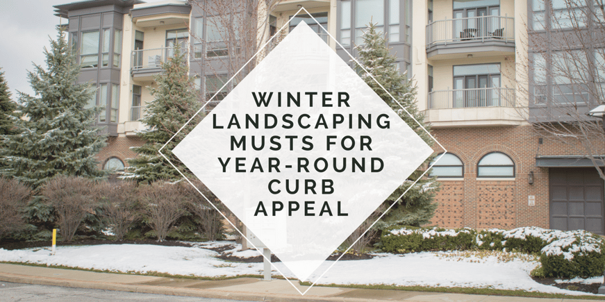 winter landscaping musts for year-round curb appeal.png