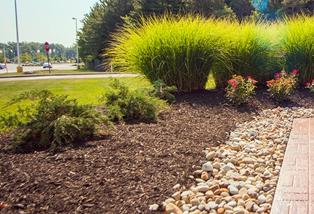 Mulch landscaping and bushes