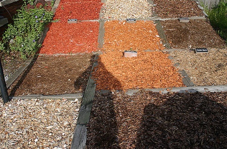 mulch types for landscaping