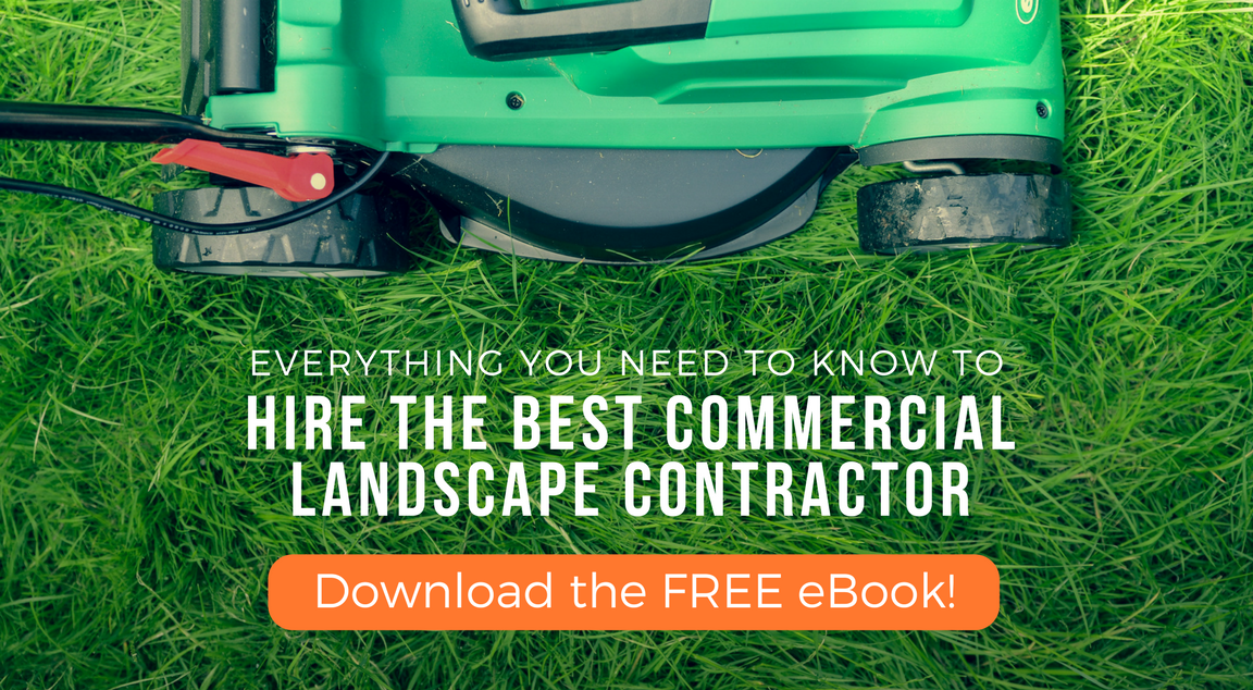 Read our FREE landscape hiring guide whitepaper