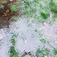 Lawn-Wet Areas2.jpg