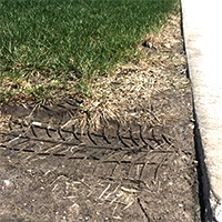 Lawn-Winter Salt And Snow3.jpg