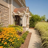 Spring Color focal