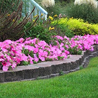 Spring Color mix