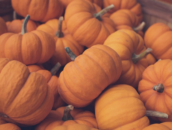 pumpkins