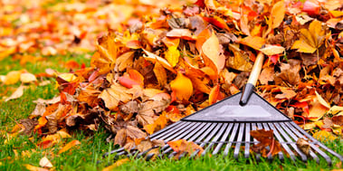 fall-landcaping-checklist-ohio.jpg