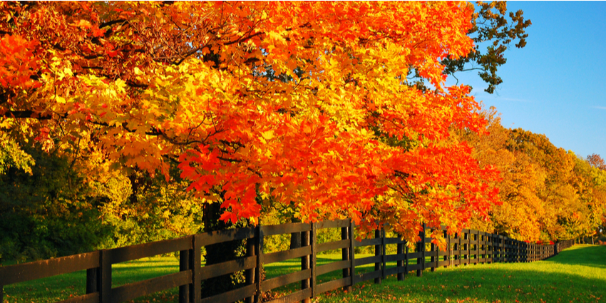 Fall colors in Ohio