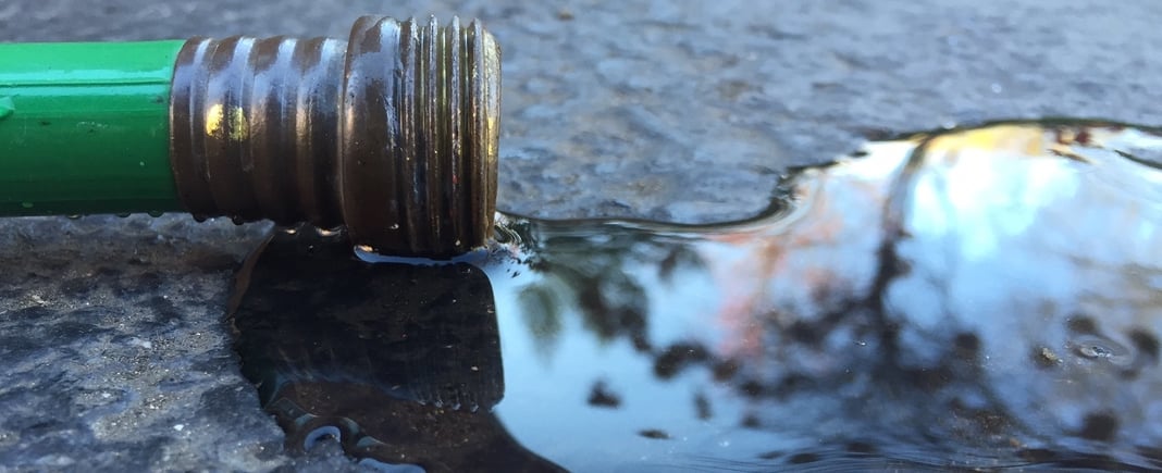 Watering weekly through fall until the ground freezes will ensure that plants go into the cold winter healthy