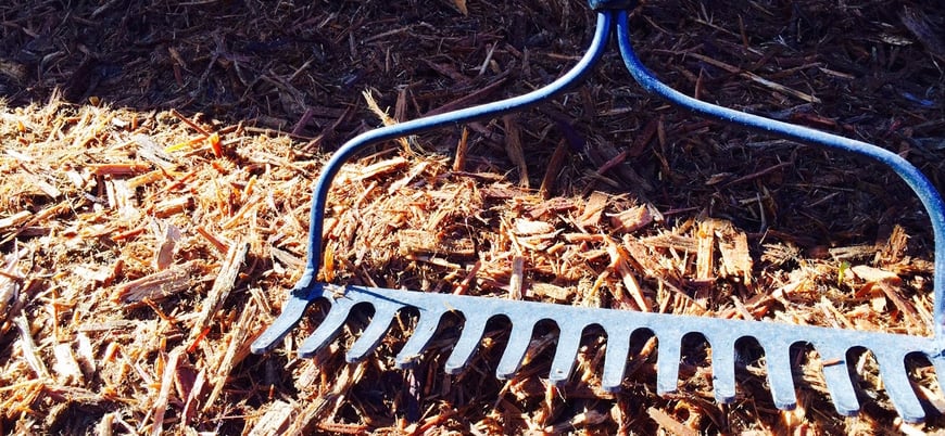 mulch insulates and softens the impact of fluctuating temperatures on your commercial landscape