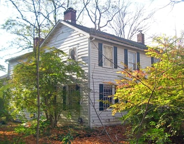 trees too close to house lewis mumford.jpg