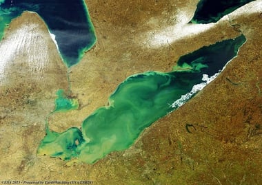 lake-erie-algae-4[2].jpg