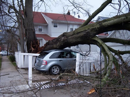 storm damage.jpg