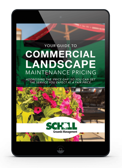 Commercial landscape e-book cover