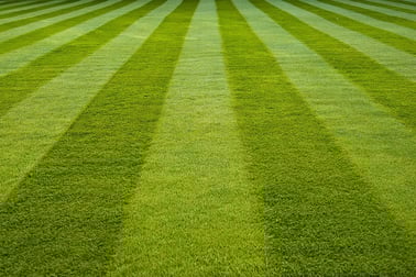 how much does landscape maintenance cost