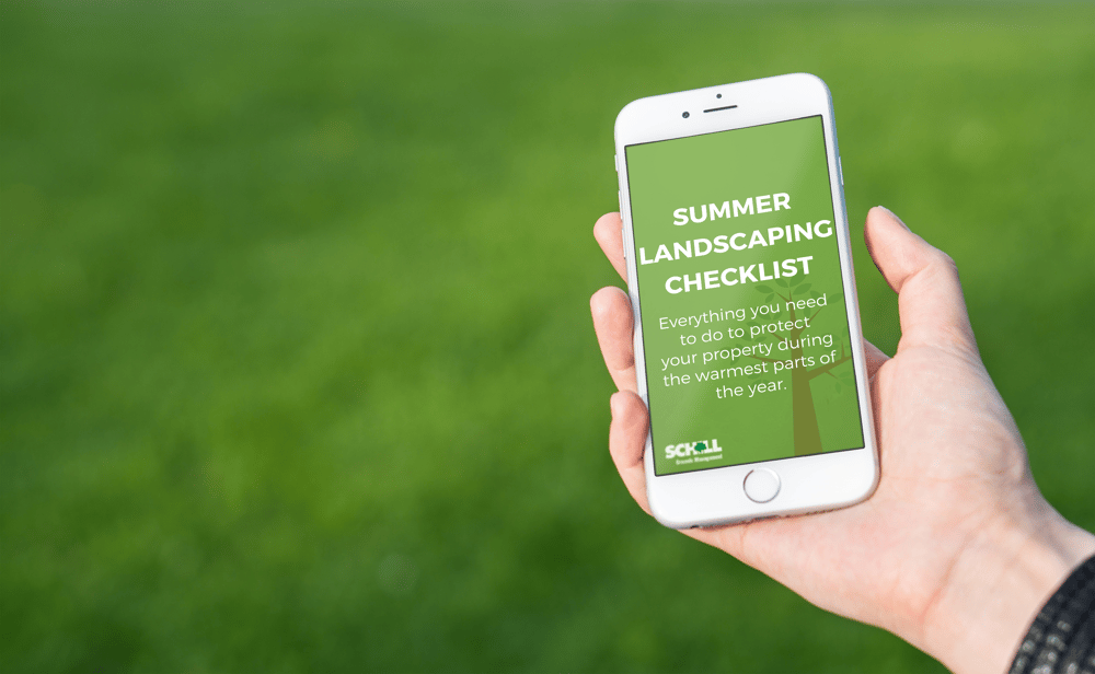 Summer Landscaping Checklist Schill Grounds Management