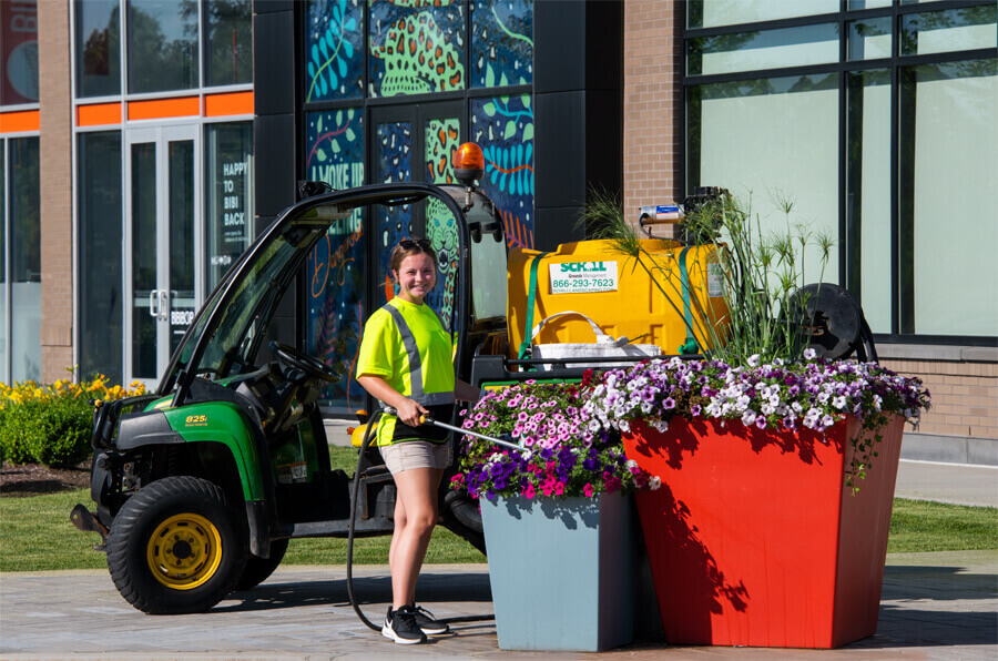 watering flowers