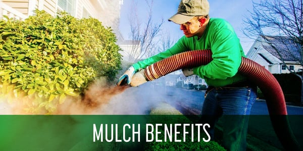 Benefits_of_mulch_landscaping