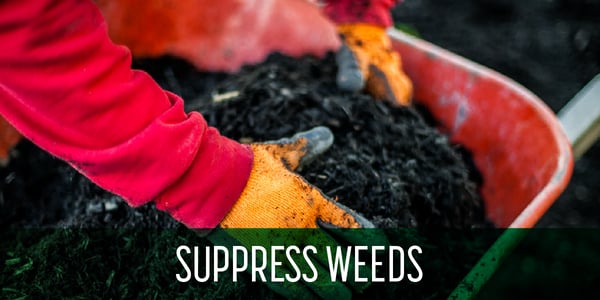 Mulch_suppresses_weeds_landscaping_sgm