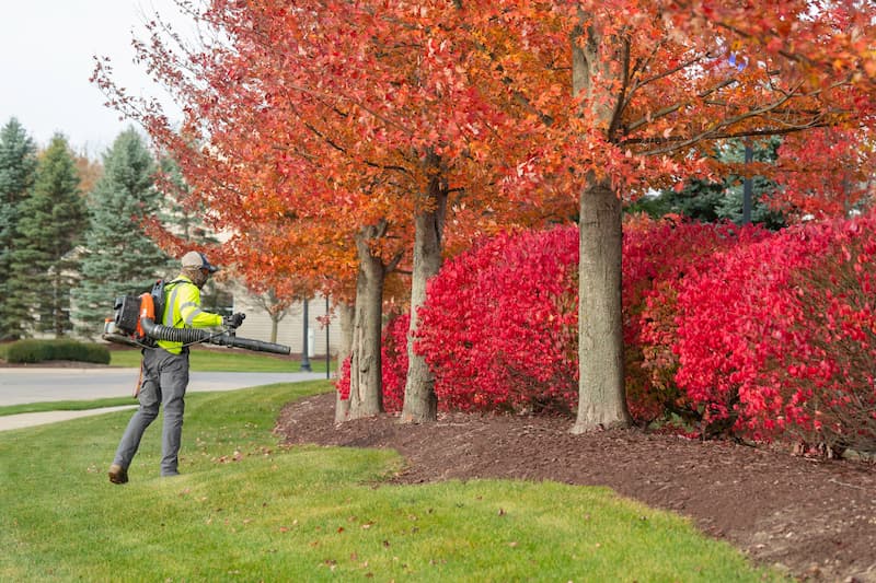 Schill-landscaping-fall