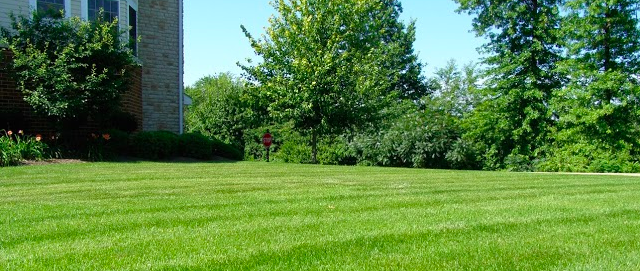 Ohio lawn that has been aerated