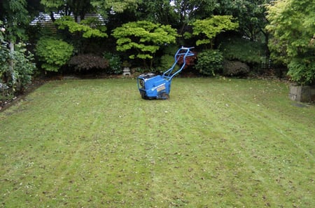 Ohio lawn after being aerated