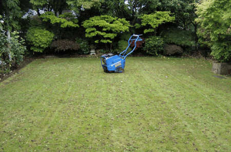 Ohio lawn after being aerated