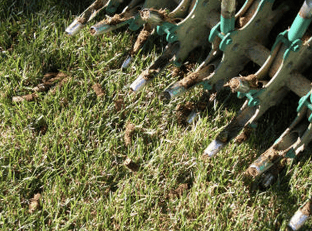 Lawn aeration tool alleviates soil compaction