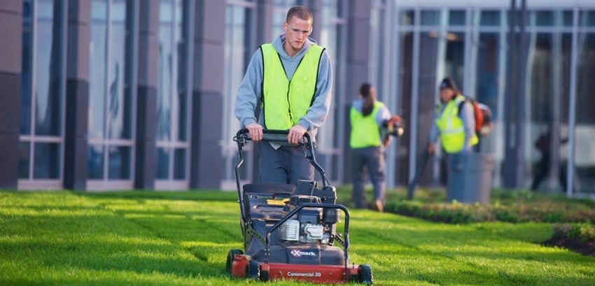 a final mowing is a key part of winterizing your lawn