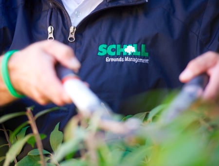 Schill landscaper pruning plants