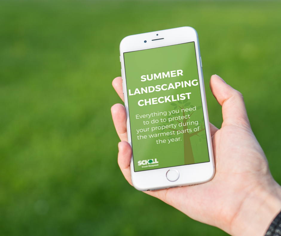 summer landscaping checklist