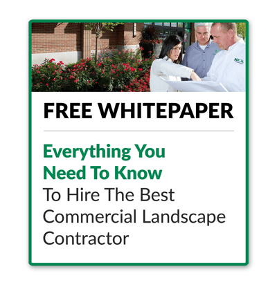 schill whitepaper commercial landscape cta vertical