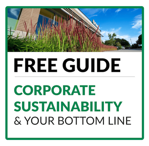 sustainability commercial landscape e book cover