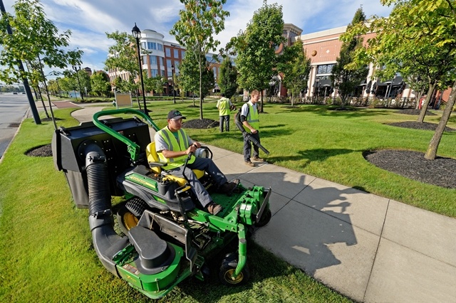 lawn care