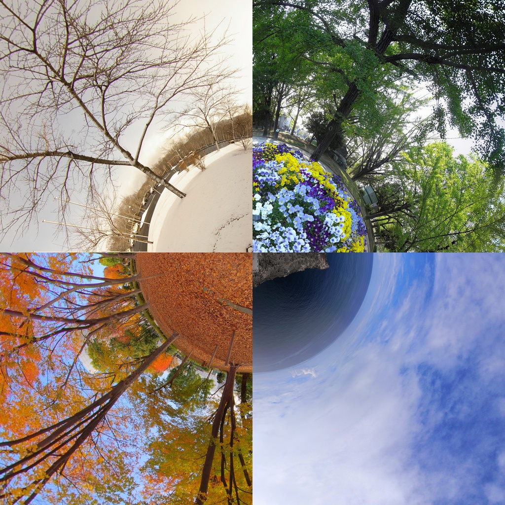 4 seasons