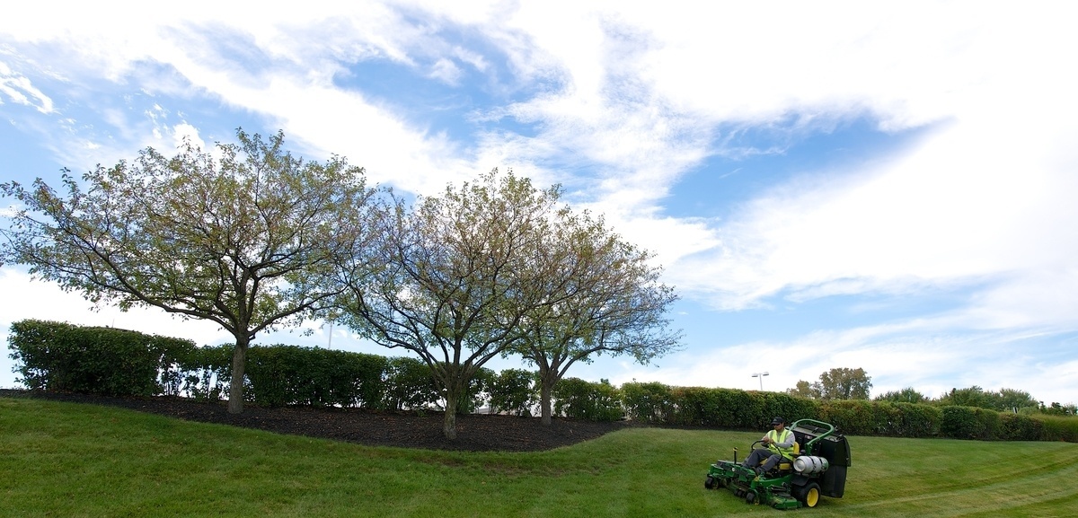 corporate sustainability in commercial landscaping