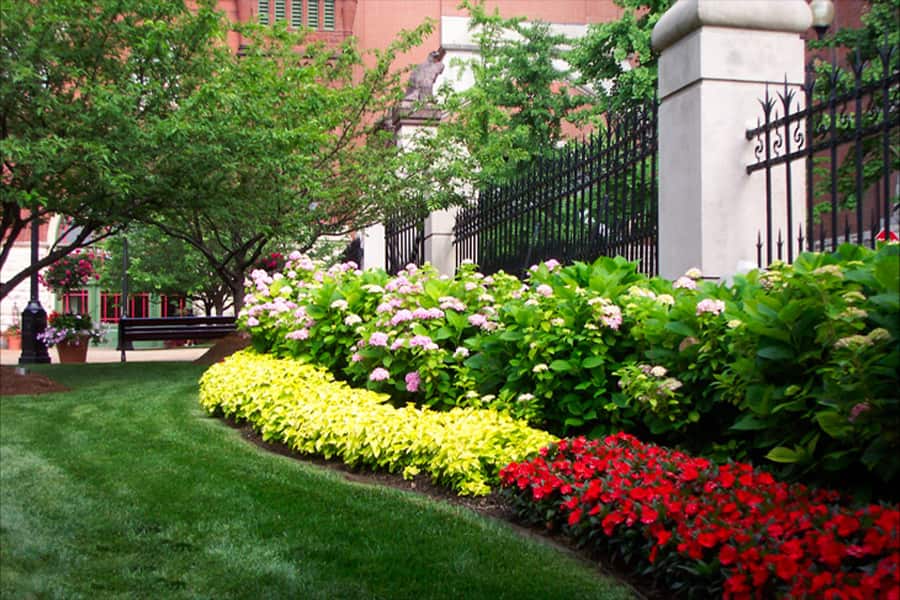 landscaping and flower beds at a public property