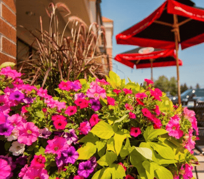 large decorative planters can clearly mark entries