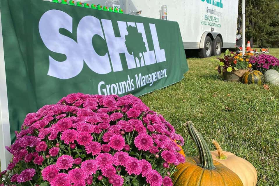 Schill banner with flowers and pumpkins